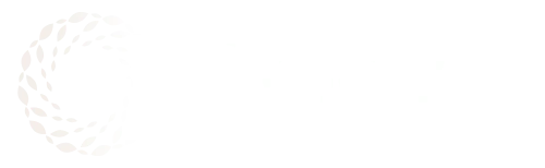 Delavy Logo